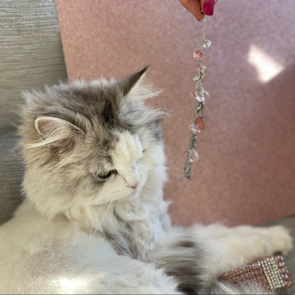 NWT DOUBLE STRAND CHARM BRACELET IN TONES OF BLUSH ROSÉ CRYSTALS & SILVER SHOES - Picture 15 of 16